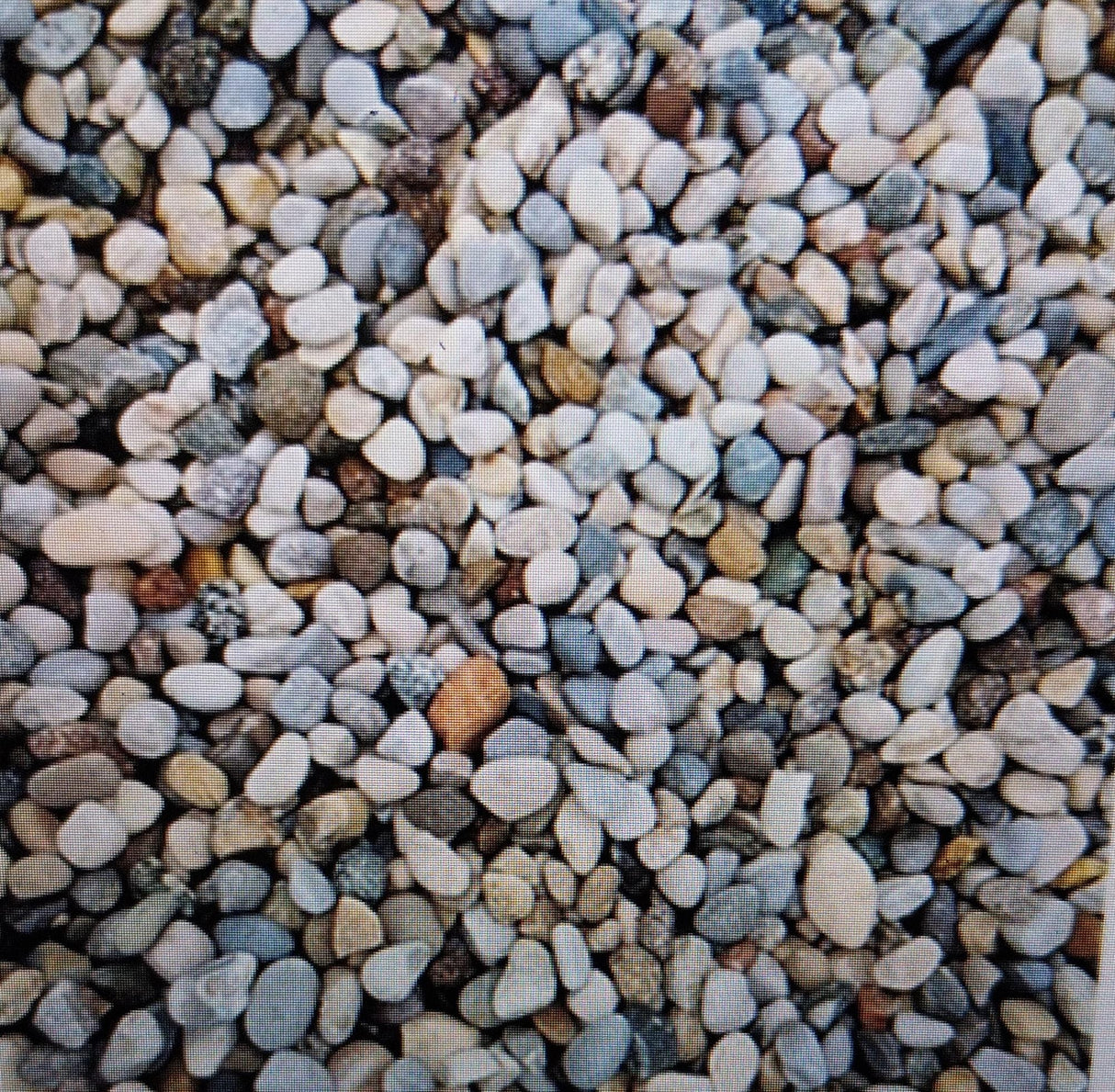 larcolaio larcolaio pietre ciottoli millefiori 10 16 mm 20 kg