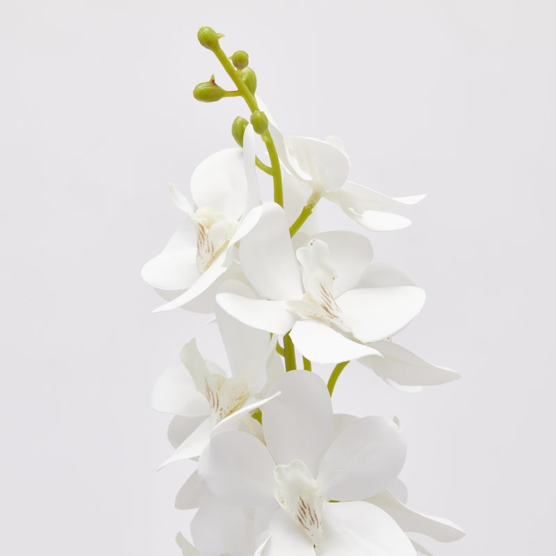 edg enzo de gasperi edg enzo de gasperi orchidea vanda ramo artificiale h 70 cm white ean 8059824380913