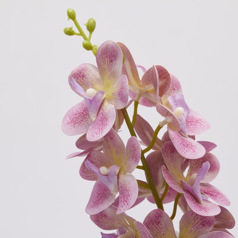 edg enzo de gasperi edg enzo de gasperi orchidea vanda ramo artificiale h 70 cm fuchsia ean 8059824380937