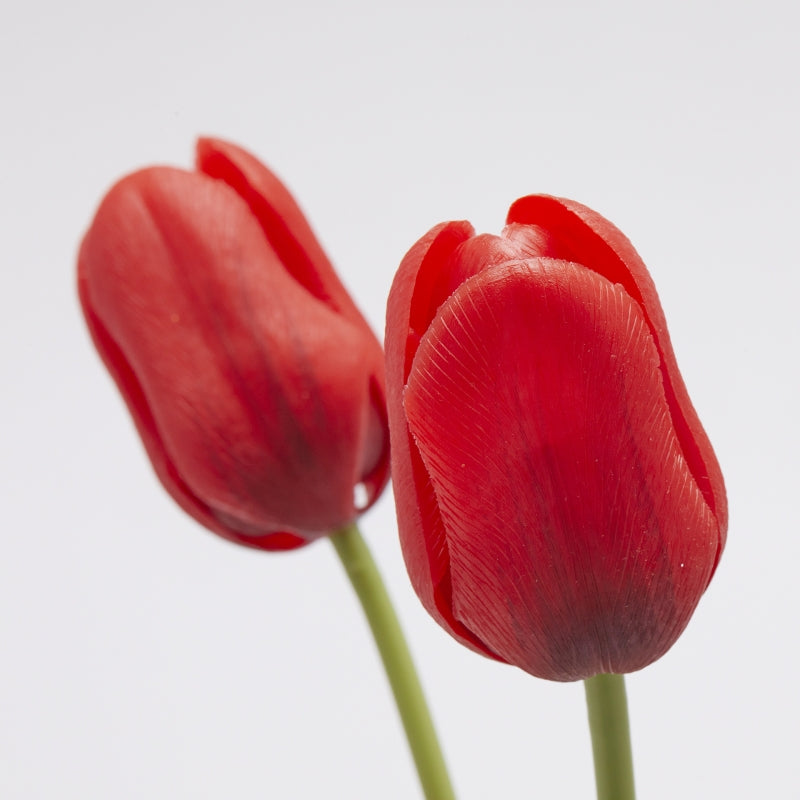 EDG Enzo De Gasperi Bouquet 5 Tulips with Leaves H 48 Cm Red