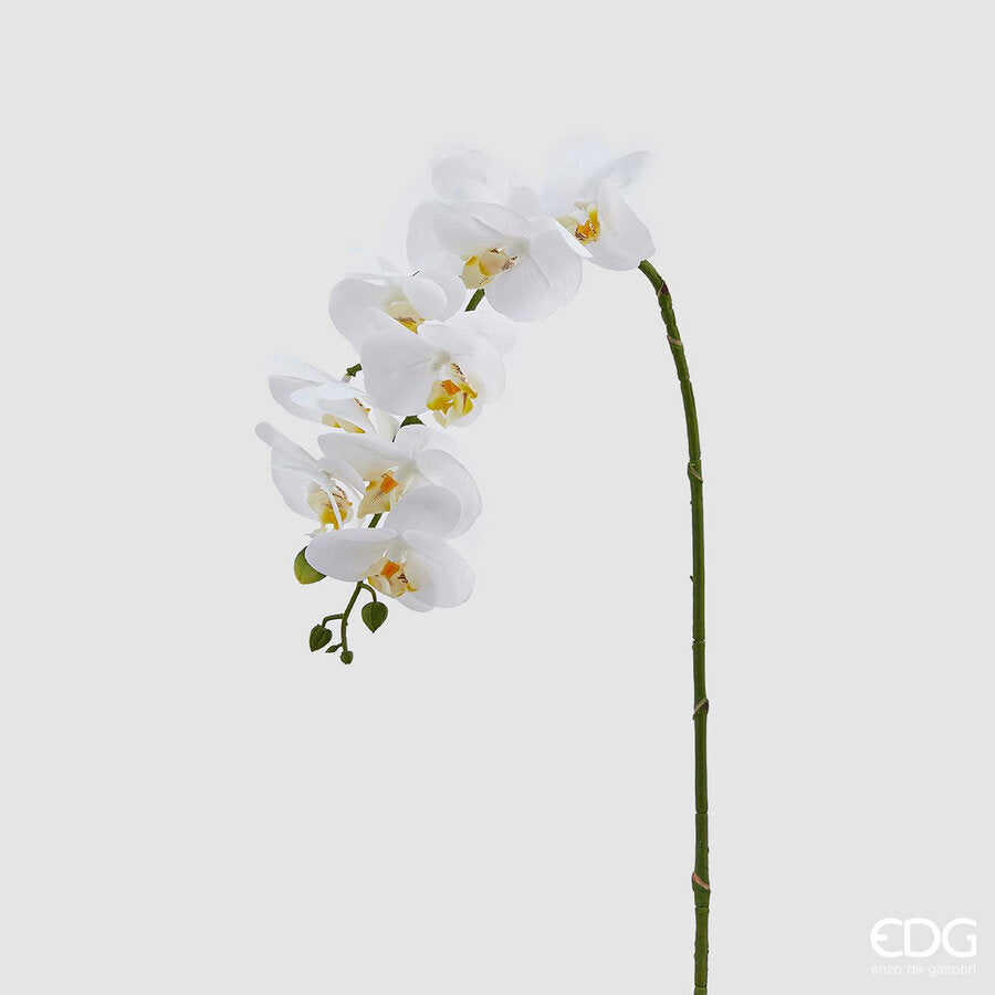 edg enzo de gasperi edg enzo de gasperi orchidea phalaenopsis real ramo artificiale h 76 cm white ean 8054184754152