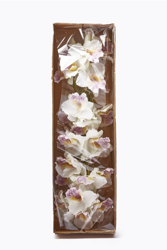 edg enzo de gasperi edg enzo de gasperi orchidea cattleya duke ramo x4 e 2 boccioli artificiale h 43 cm white violet ean 8056372147227