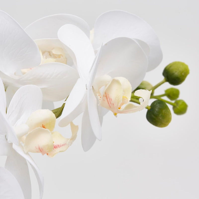 edg enzo de gasperi edg enzo de gasperi orchidea phalaenopsis real con vaso artificiale h 40 cm white ean 8056372341250