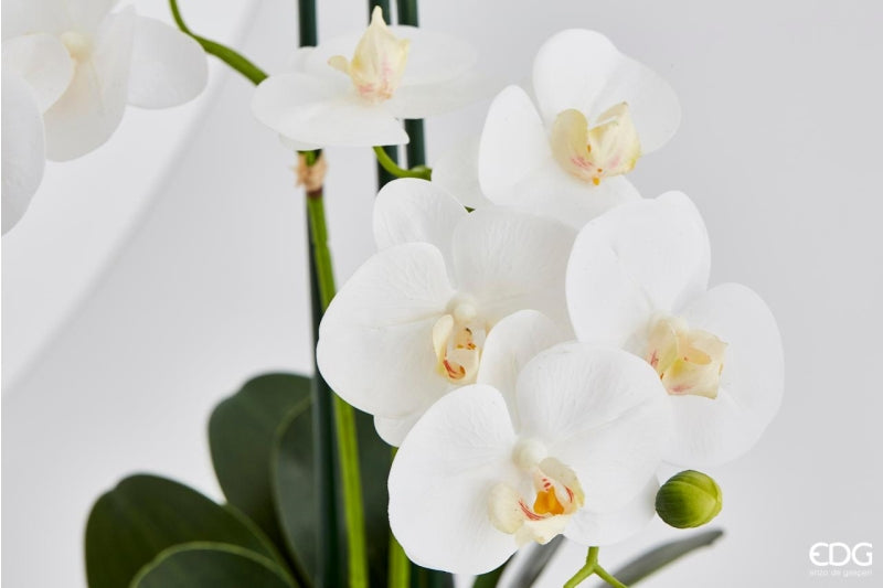 edg enzo de gasperi edg enzo de gasperi orchidea phalaenopsis pianta x6 con vaso artificiale h 64 cm white ean 8056372424854