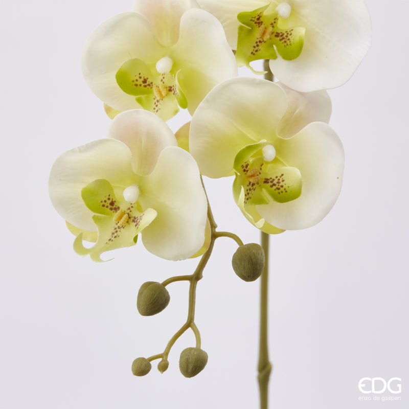 edg enzo de gasperi edg enzo de gasperi orchidea phalaenopsis olis ramo 3d x7 artificiale h 85 cm white yellow ean 8056372972744