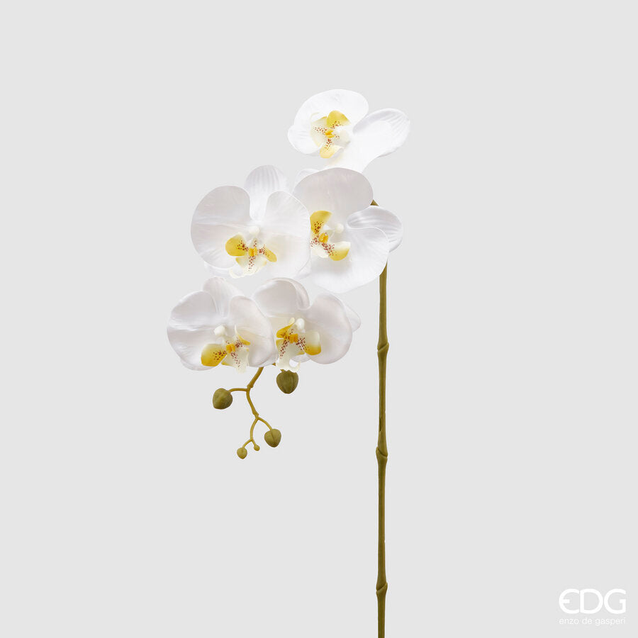 edg enzo de gasperi edg enzo de gasperi orchidea phalaenopsis olis ramo 3d x5 artificiale h 70 cm white ean 8056372972768
