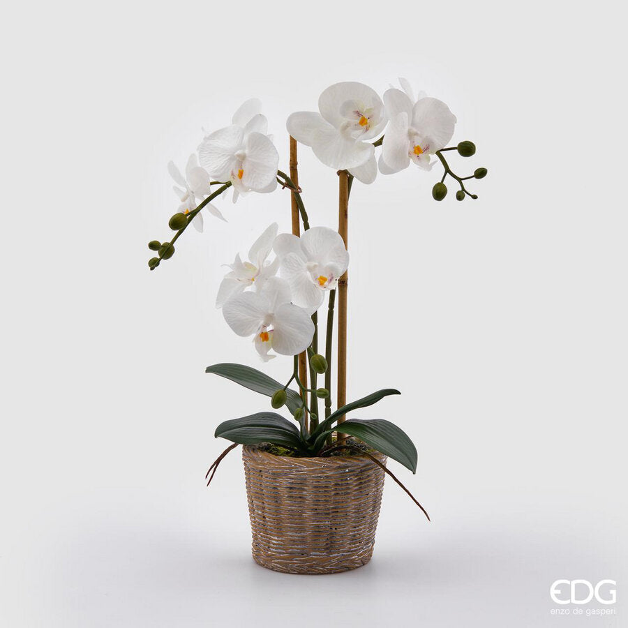edg enzo de gasperi edg enzo de gasperi orchidea phalaenopsis pianta x3 artificiale con cesto h 48 cm white ean 8059824123688