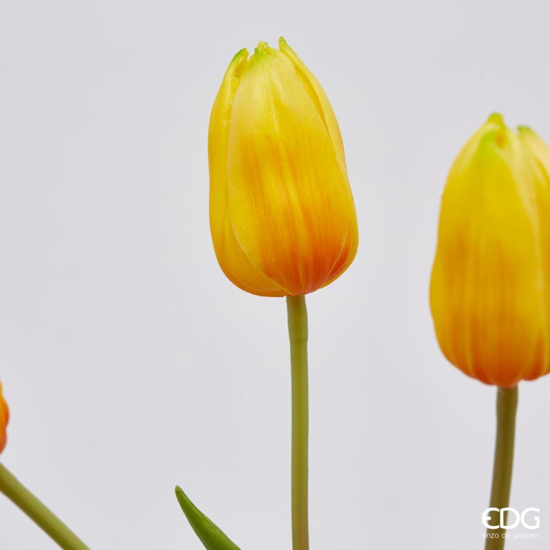 EDG Enzo De Gasperi Bouquet of 5 Tulips Olis Ass. H 40 Cm Yellow 1 Pc