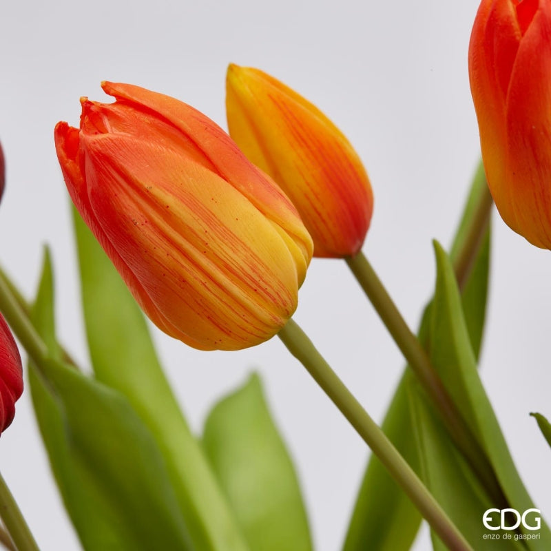 EDG Enzo De Gasperi Bouquet of 5 Tulips Olis Ass. H 40 Cm Orange 1 Pc
