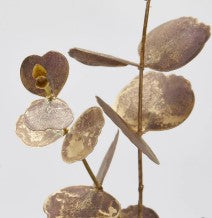 EDG Enzo De Gasperi Eucalipto Ramo H 89 Cm Plastica Garnet