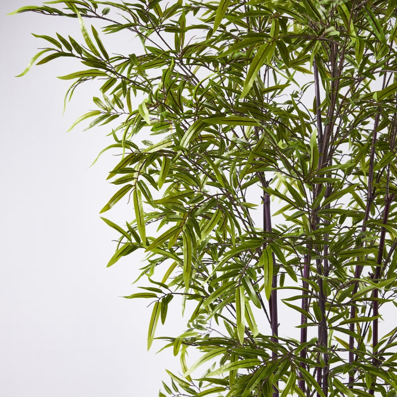 EDG Enzo De Gasperi Bamboo with Vase H 210 cm Dark and Light Green Color