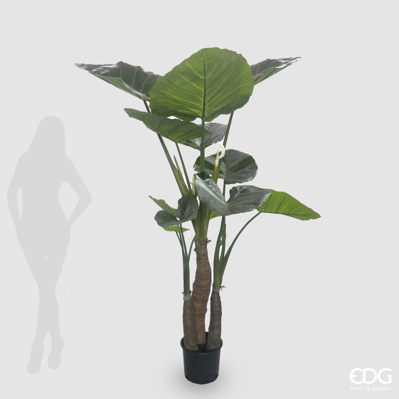 edg enzo de gasperi edg enzo de gasperi alocasia con vaso artificiale h 210 cm green ean 8059824423764
