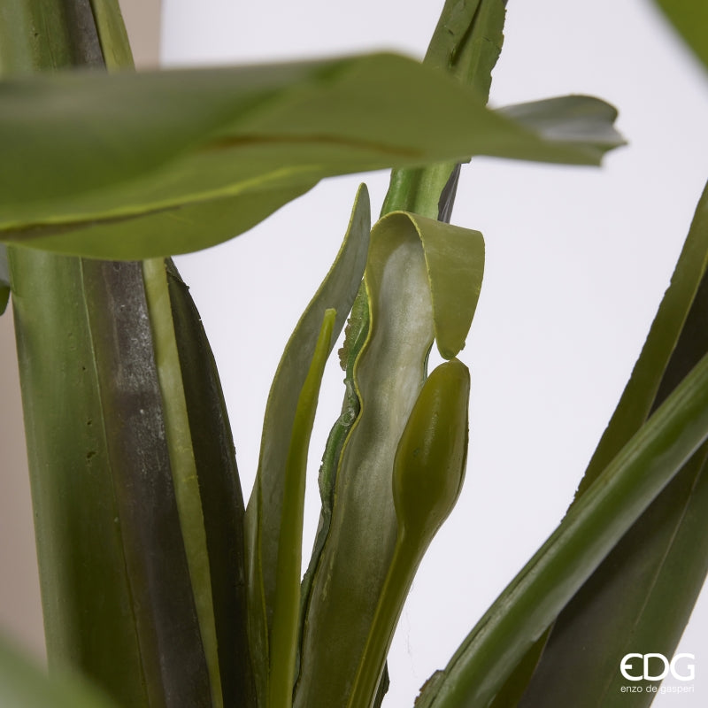 edg enzo de gasperi edg enzo de gasperi alocasia con vaso artificiale h 210 cm green ean 8059824423764