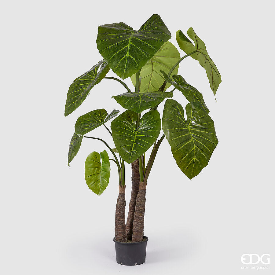 edg enzo de gasperi edg enzo de gasperi alocasia con vaso artificiale h 210 cm green ean 8059824423764
