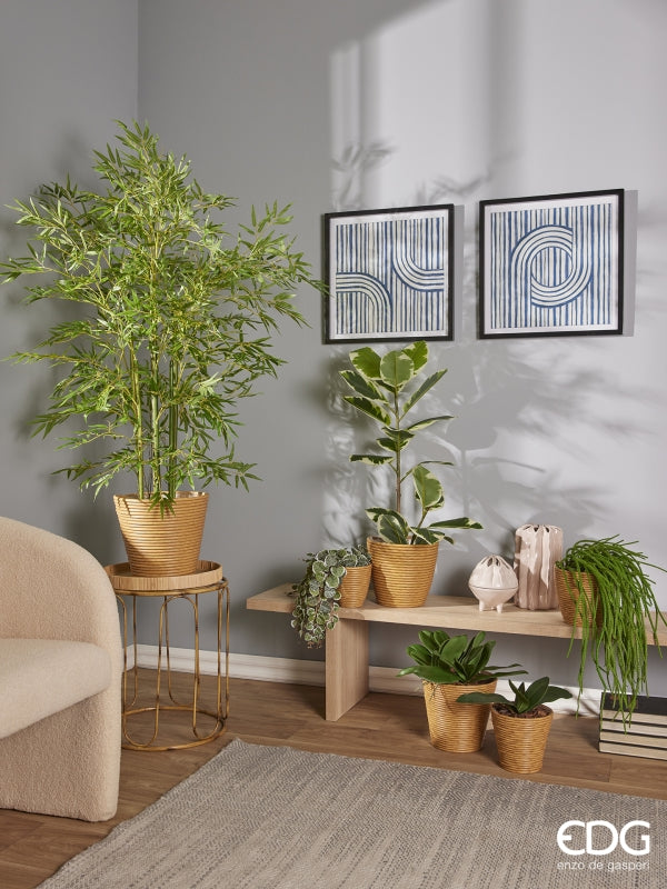 edg enzo de gasperi edg enzo de gasperi orchidea phalaenopsis foglia olis x6 con radice artificiale h 27 cm green ean 8056372972522