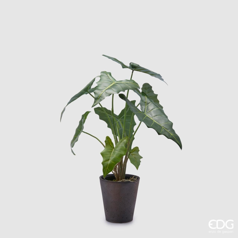 edg enzo de gasperi edg enzo de gasperi alocasia chic con vaso artificiale h 58 cm green ean 8059824309143