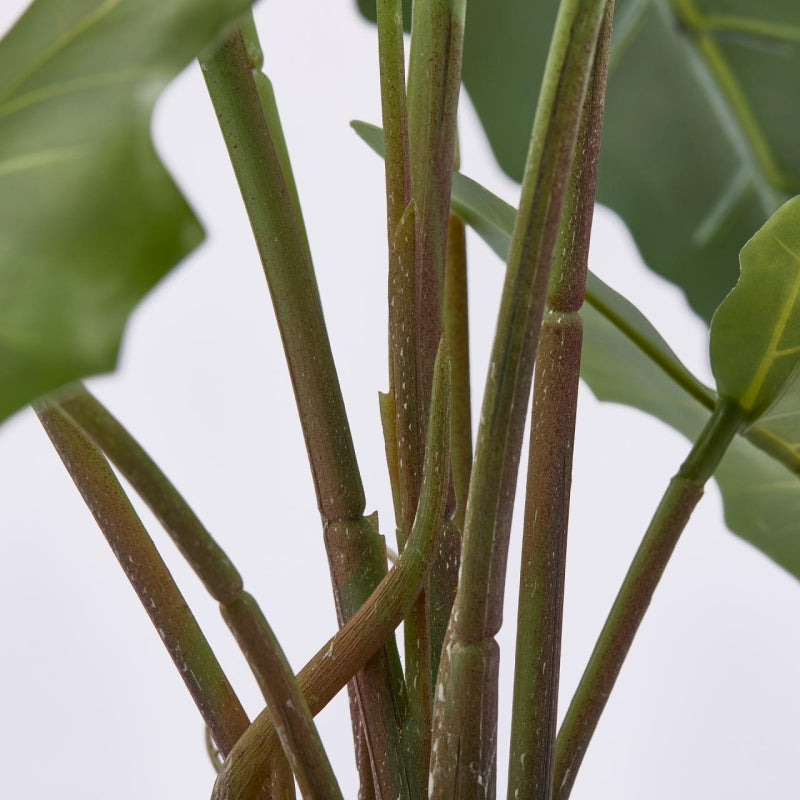 edg enzo de gasperi edg enzo de gasperi alocasia chic con vaso artificiale h 58 cm green ean 8059824309143