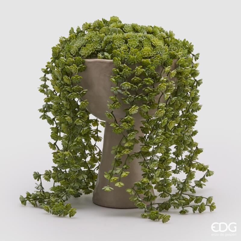 EDG Enzo De Gasperi Echeveria Olis Cespuglio Cadente H 44 Cm Pianta Artificiale Verde Chiaro