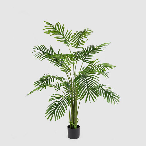 EDG Enzo De Gasperi Palma Areca C/Vaso H150 C3 Green