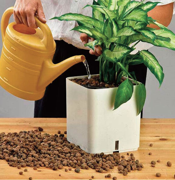 larcolaio larcolaio terriccio argilla espansa 10 lt