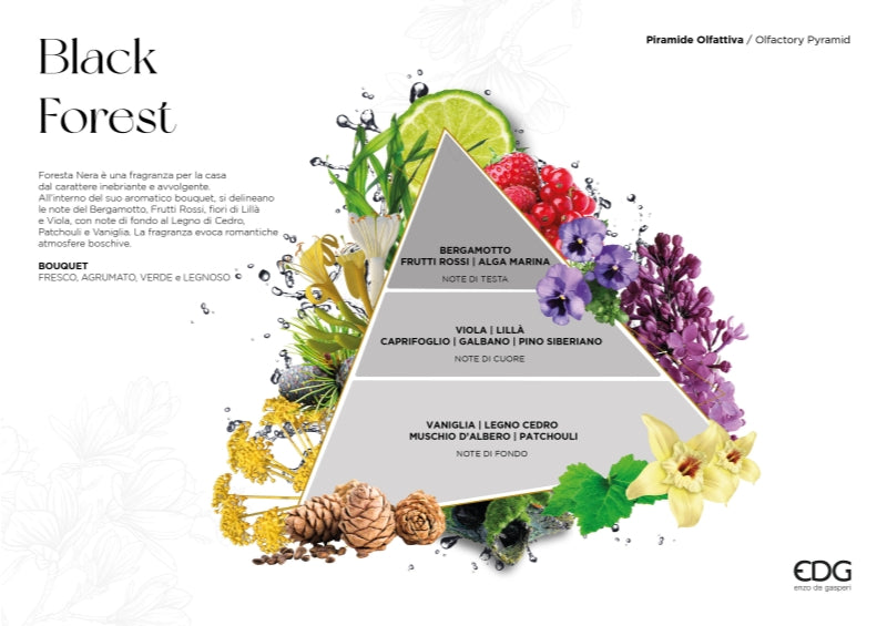 edg enzo de gasperi edg enzo de gasperi profumatore bottiglia agadir 300 ml h 175 cm d 9 cm foresta nera ean 8059824465306