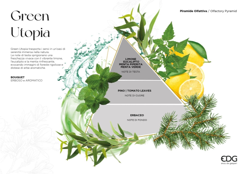 edg enzo de gasperi edg enzo de gasperi profumatore bottiglia agadir 300 ml h 175 cm d 9 cm green utopia ean 8059824465337