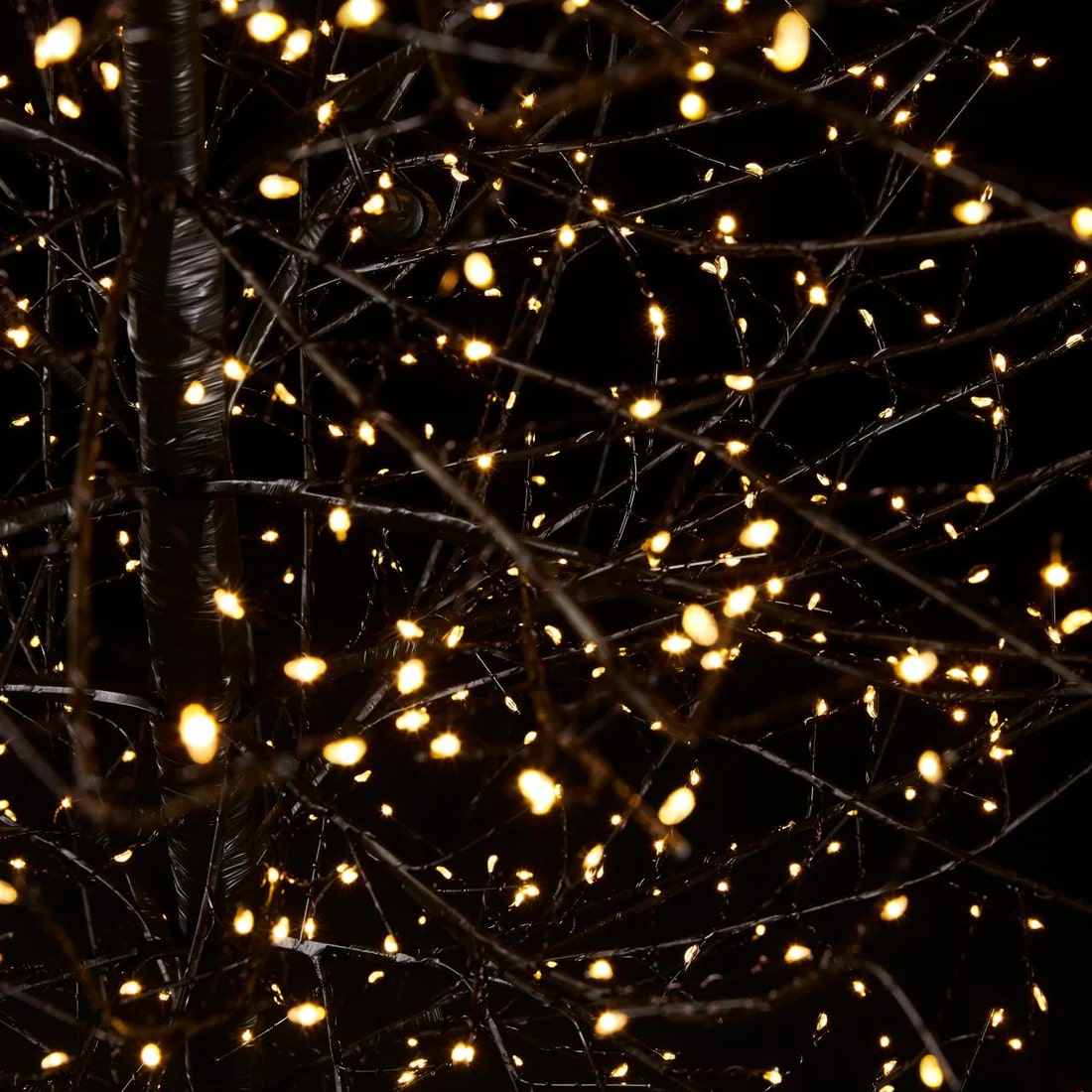 EDG Enzo De Gasperi Faggio Natale con Base 2.700 Led H 210 Cm D 100 Cm Gold