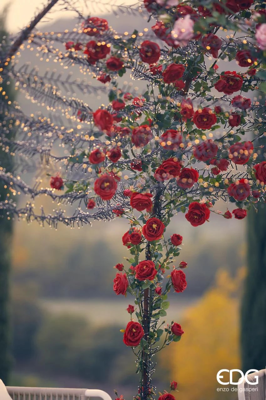 EDG Enzo De Gasperi Luci Natale MiniLed X 3.000 30 Mt Rotolo Ivory