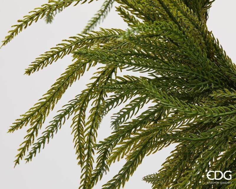 EDG Enzo De Gasperi Corona Natalizia in Cryptomeria Verde Ø35 cm – Ghirlanda Decorativa per Porte, Pareti e Addobbi di Natale