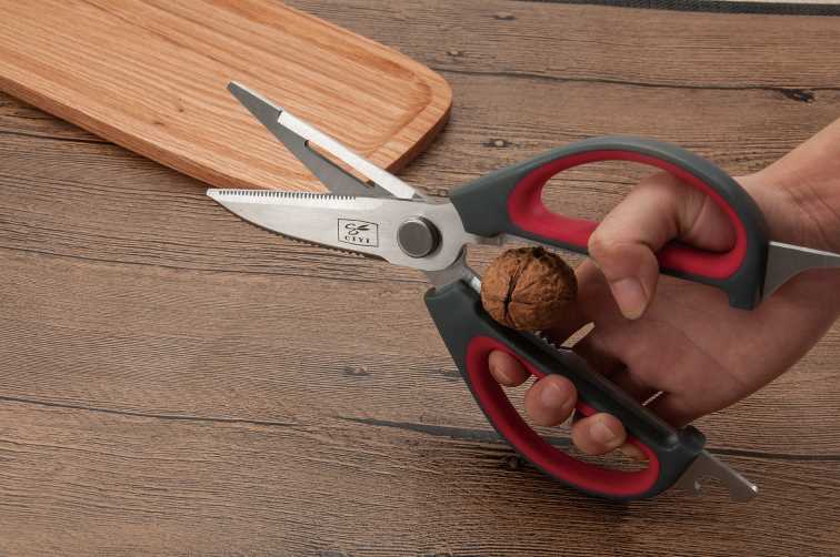 Salvinelli Forbice Cucina 25 Cm Acciaio