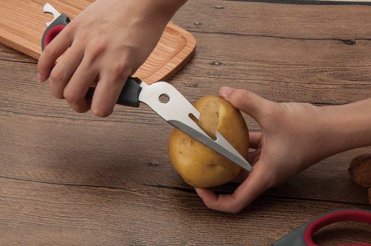 Salvinelli Forbice Cucina 25 Cm Acciaio