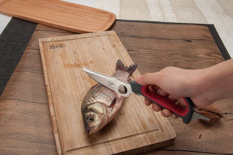 Salvinelli Forbice Cucina 25 Cm Acciaio