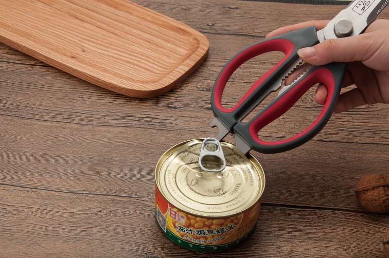 Salvinelli Forbice Cucina 25 Cm Acciaio