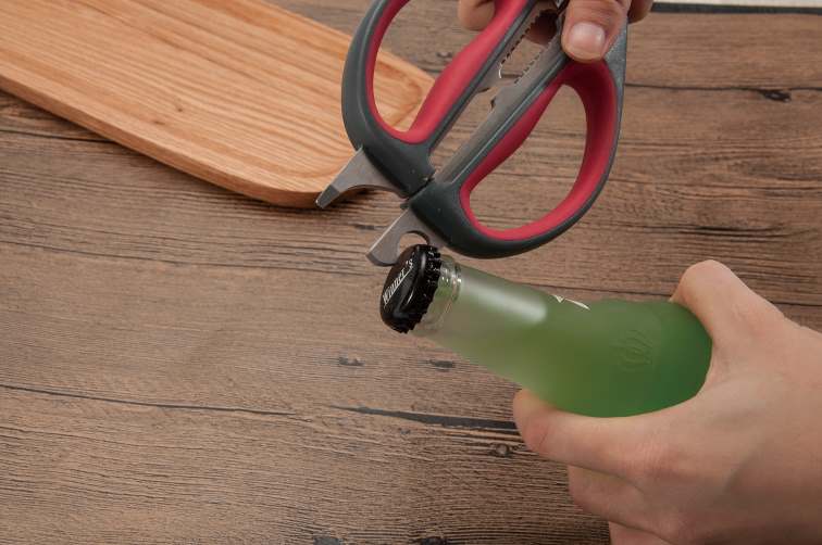 Salvinelli Forbice Cucina 25 Cm Acciaio