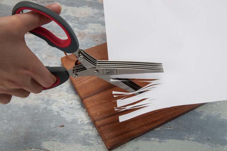 Salvinelli Forbice Sminuzzare 22 Cm Acciaio