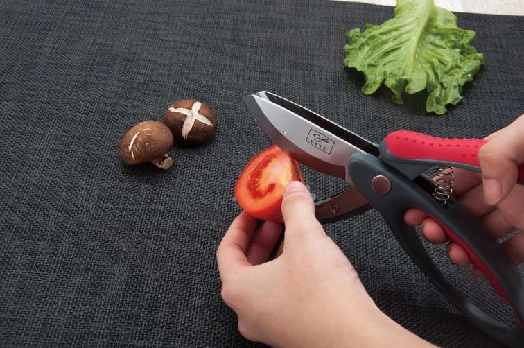 Salvinelli Scissors 23 cm Steel