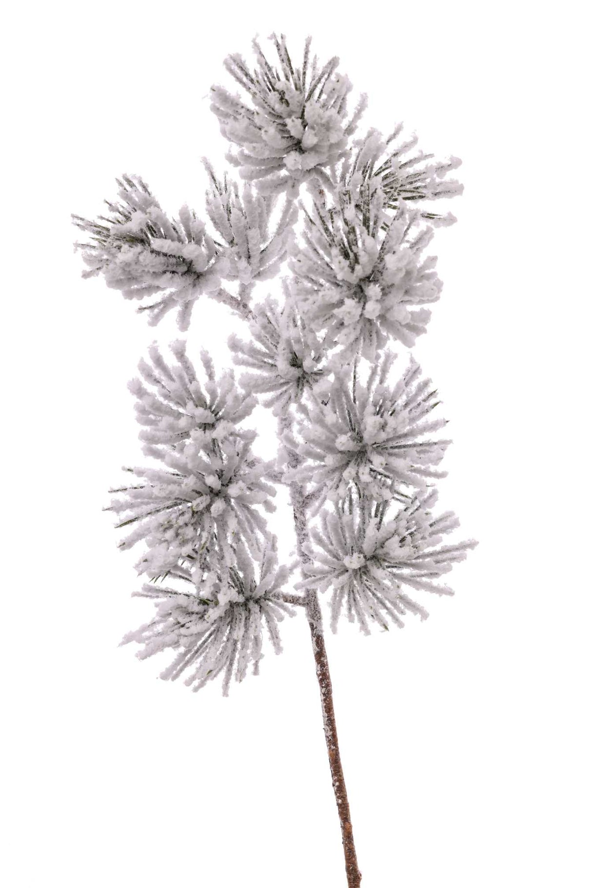 ARPIMEX Ramo Natale di Pino Innevato H 51 Cm