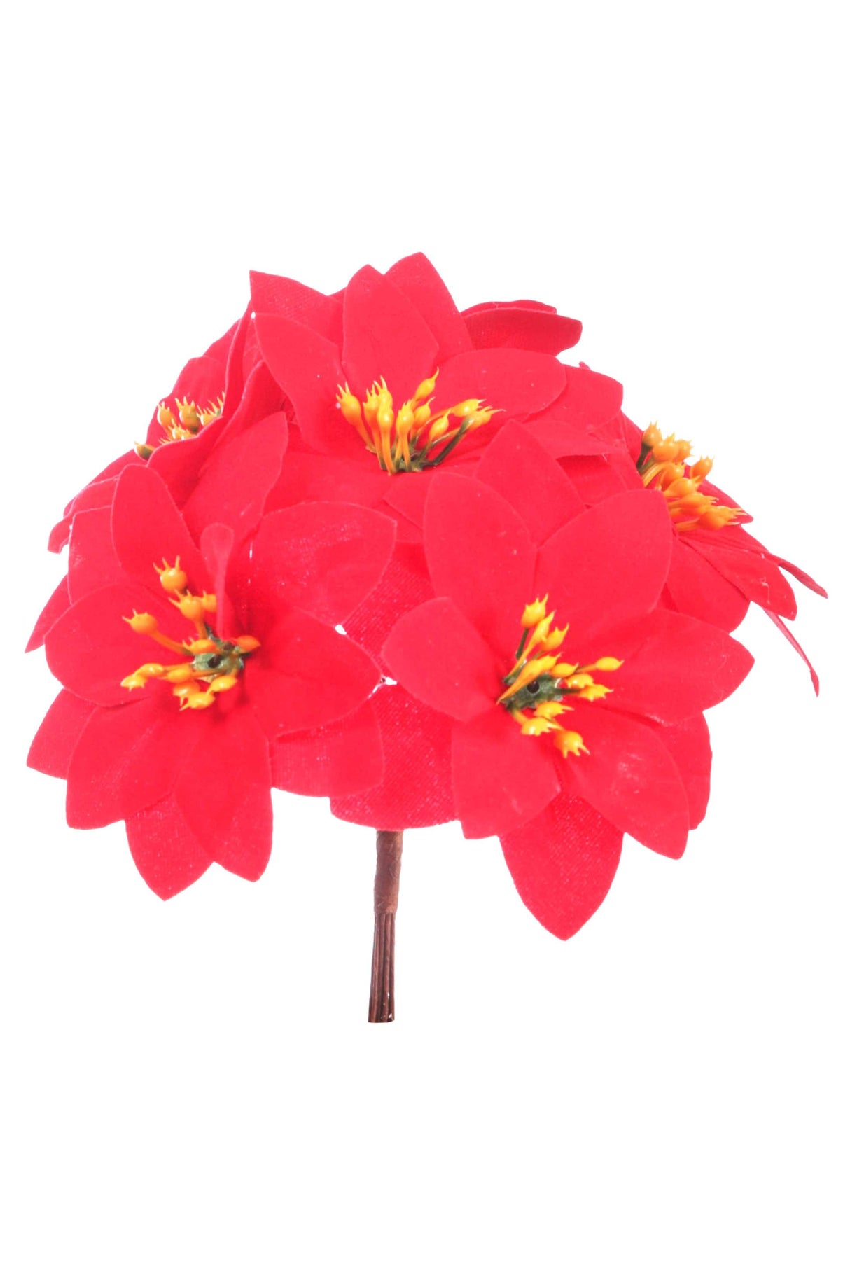 ARPIMEX Mazzetto 7 Mini Poinsettie di Natale H 13 Cm Rosso