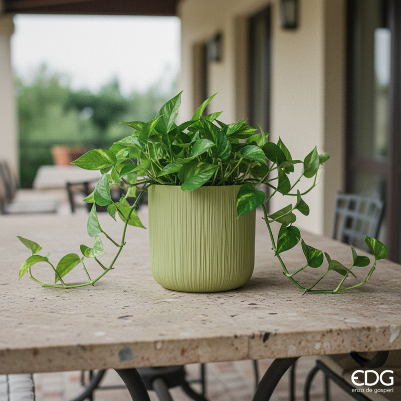 Gen Aqua/Kiwi 18cm – Terrazza v2