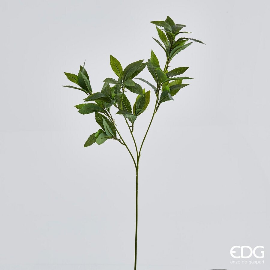 edg enzo de gasperi edg enzo de gasperi alloro chic ramo h 70 cm pianta artificiale verde ean 8056372535239