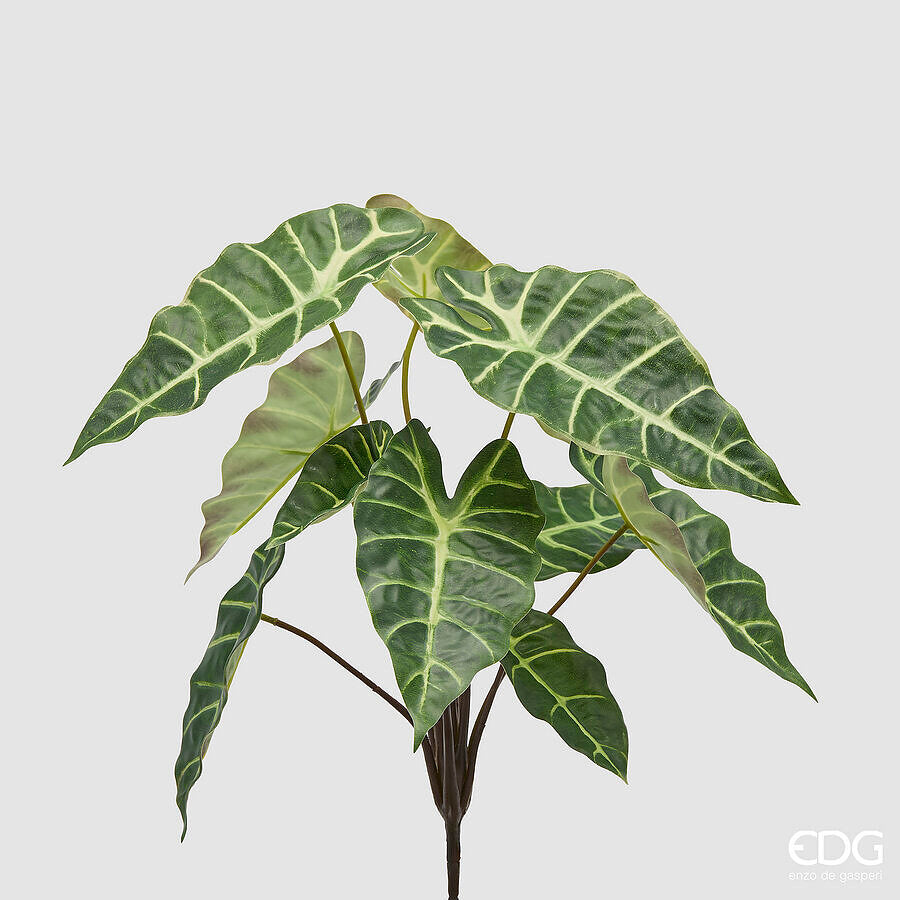edg enzo de gasperi edg enzo de gasperi alocasia cespuglio x10 h 40 cm pianta artificiale mix verde ean 8059824634702