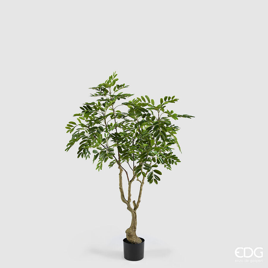 edg enzo de gasperi edg enzo de gasperi dalbergia vogue con vaso pianta artificiale h 180 cm verde ean 8059824607300