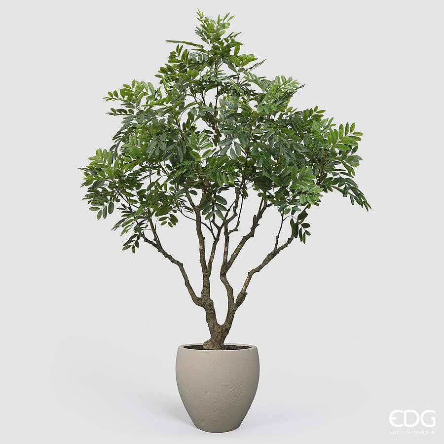 edg enzo de gasperi edg enzo de gasperi dalbergia vogue con vaso pianta artificiale h 240 cm verde ean 8059824607409