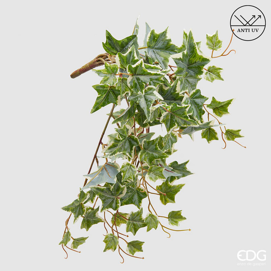 edg enzo de gasperi edg enzo de gasperi edera bell cadente anti uv h 50 cm pianta artificiale bianco verde ean 8059824051776