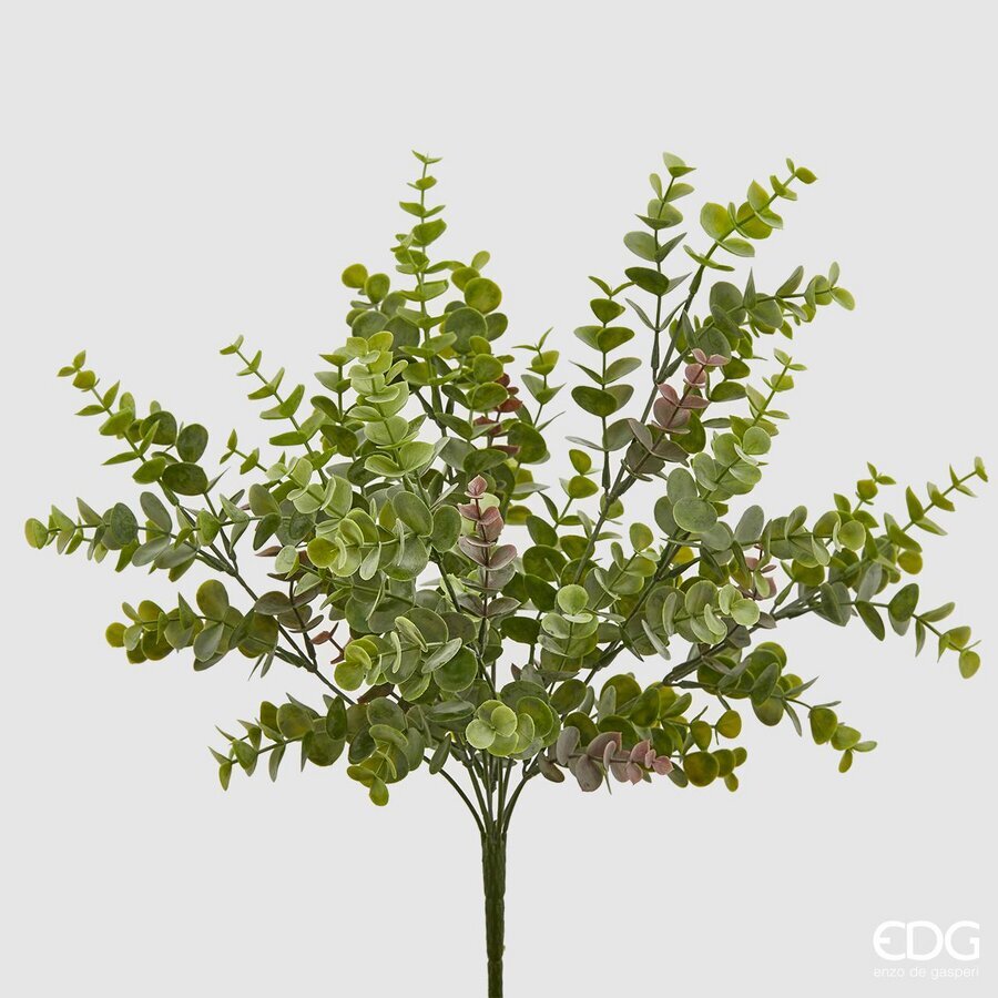 edg enzo de gasperi edg enzo de gasperi eucalipto cespuglio h 44 cm verde ean 8059824451439