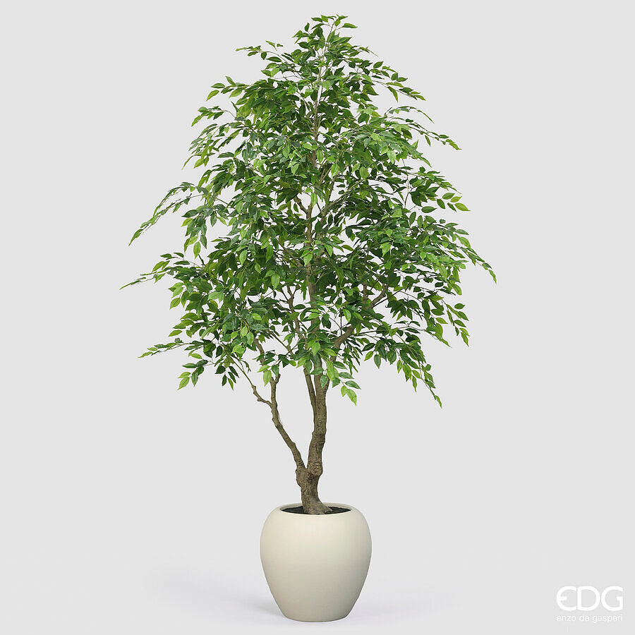 edg enzo de gasperi edg enzo de gasperi ficus beniamino vogue con vaso pianta artificiale h 224 cm verde ean 8059824607317