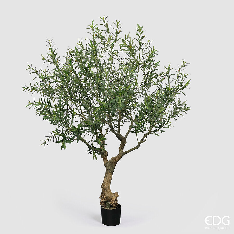 edg enzo de gasperi edg enzo de gasperi olivo con vaso h 230 cm pianta artificiale verde ean 8059824607492
