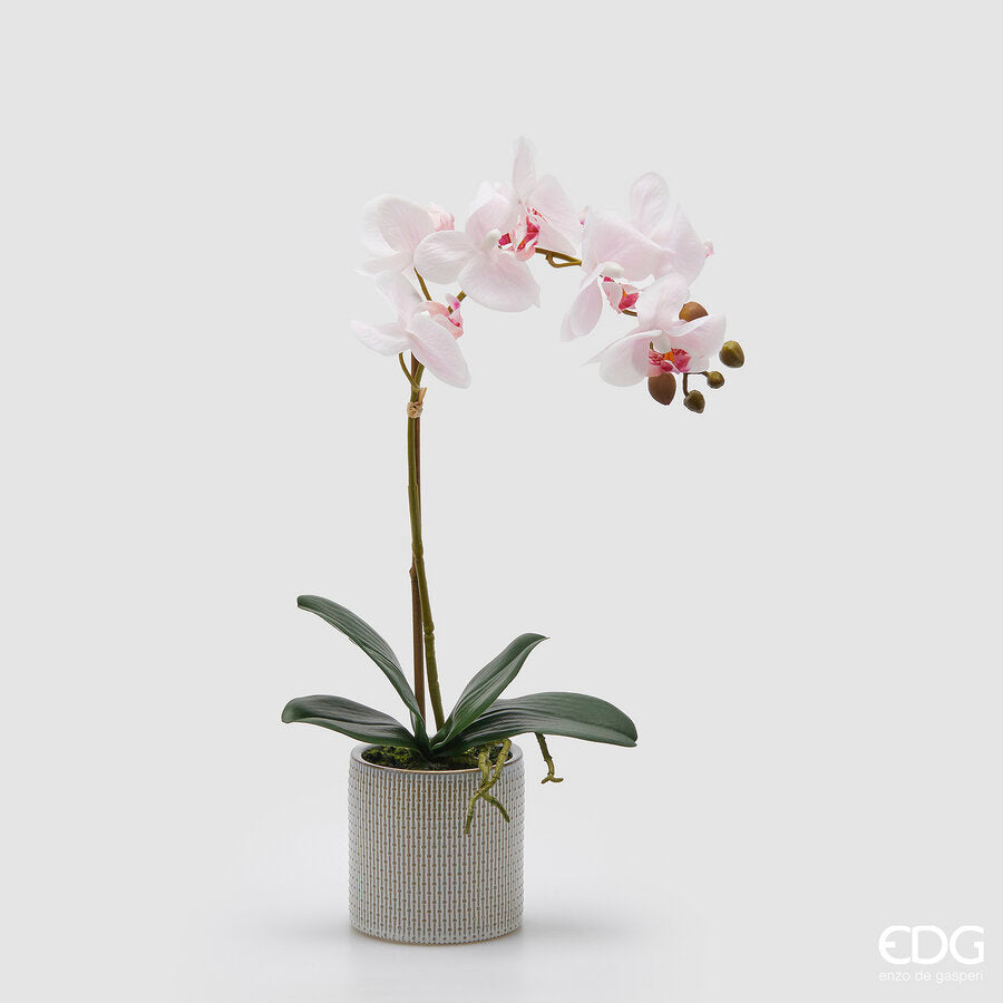 edg enzo de gasperi edg enzo de gasperi orchidea phalaenopsis con foglie e vaso h 47 cm pianta artificiale bianco rosa chiaro ean 8059824513694