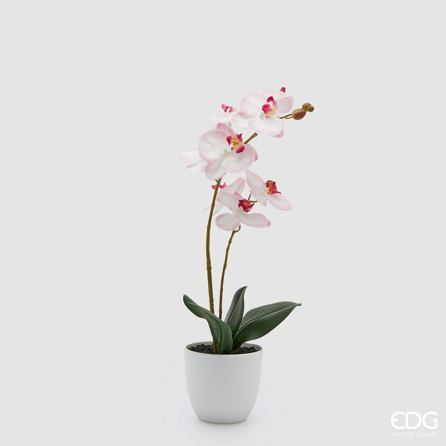 edg enzo de gasperi edg enzo de gasperi orchidea phalaenopsis con vaso e foglie h 50 cm pianta artificiale rosa chiaro ean 8059824513618