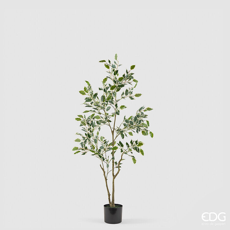 edg enzo de gasperi edg enzo de gasperi pianta artificiale ficus vogue con vaso h120 cm pianta decorativa realistica design moderno ean 8059824655226